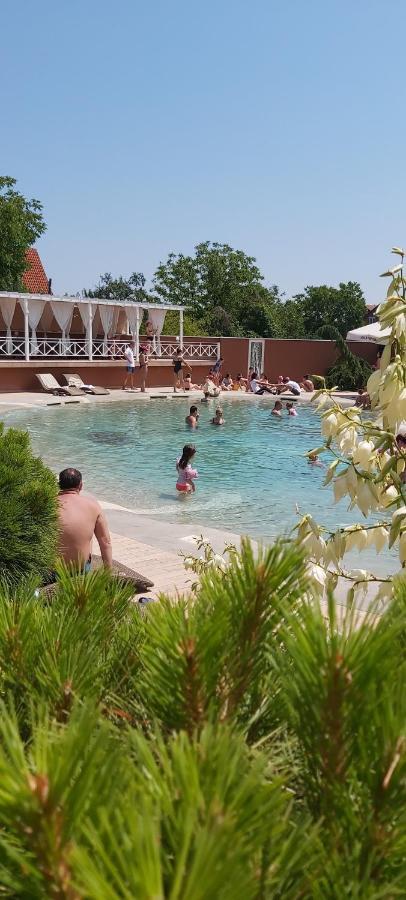 Solaris Resort Vrnjačka Banja エクステリア 写真